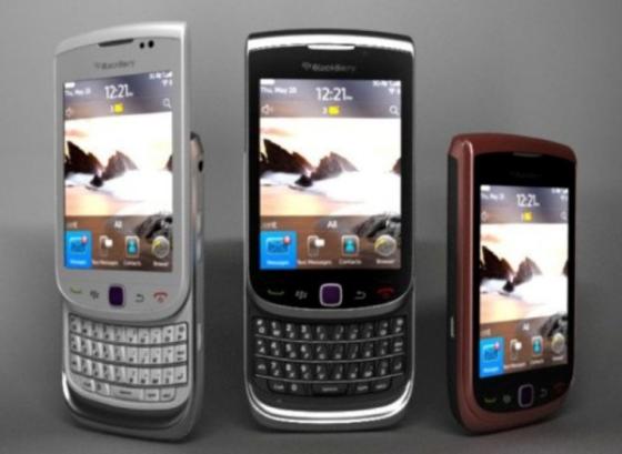 Blackberry Torch